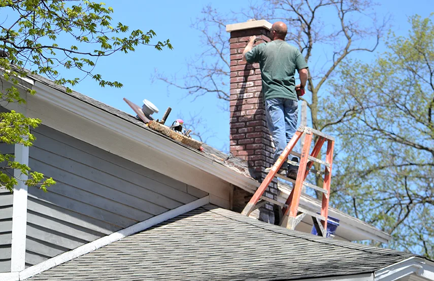 Chimney & Fireplace Inspections Services in Chantilly, VA